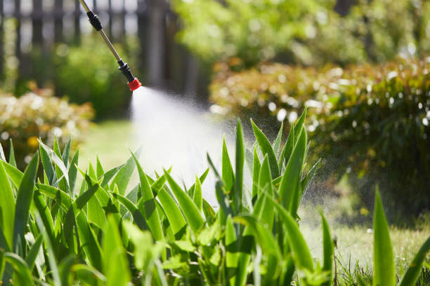 24/7 Emergency Wasp Removal experts in De Pere, WI