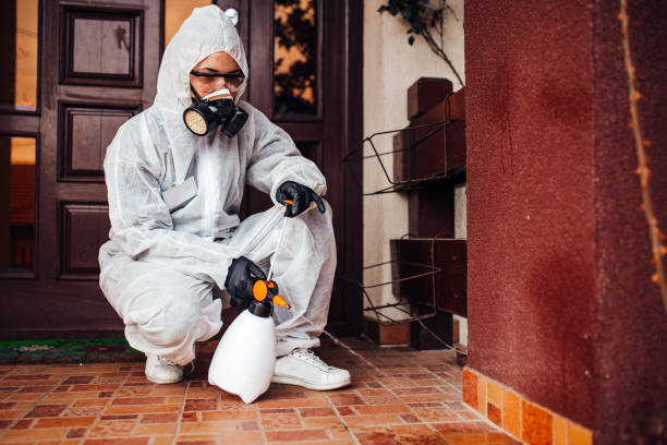 Reliable Wasp Removal contractor in De Pere, WI by Show Me Pest Control